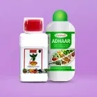 Growth Promoters Image