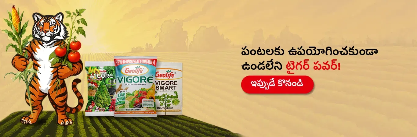 Geolife Bio Fertilizers V4 Image 5