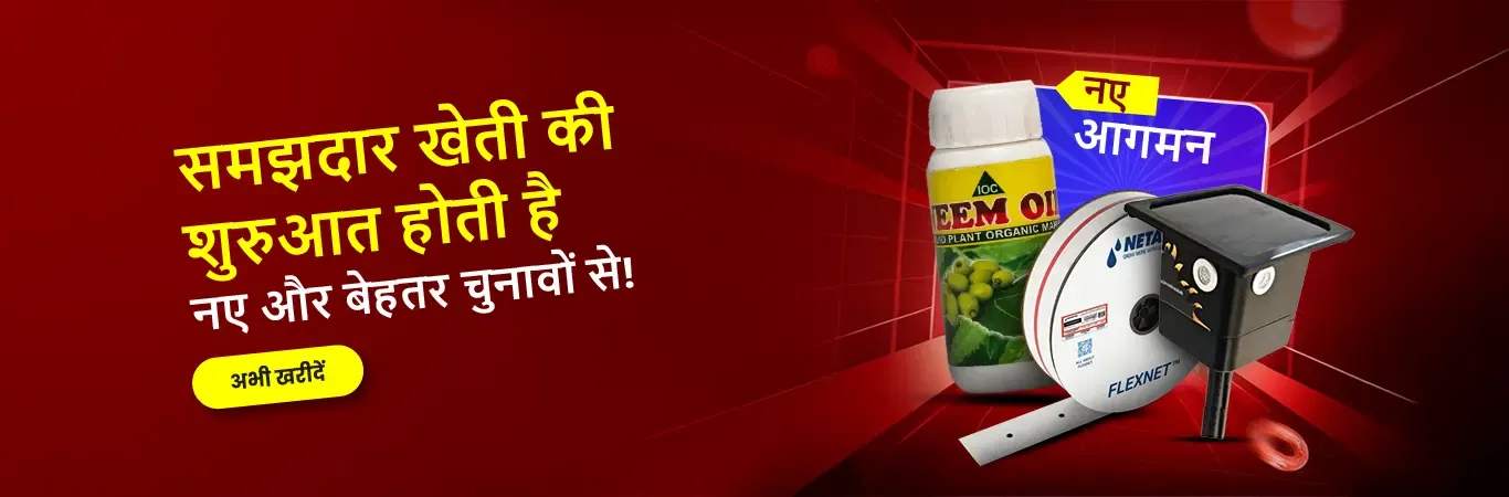 New Arrivals Image 5