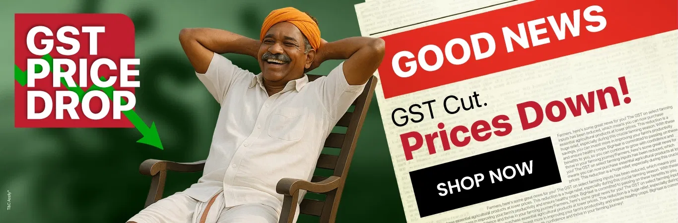 GST Sale  Image 1