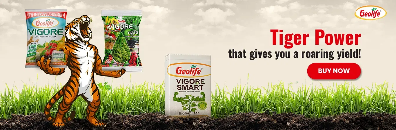 Geolife Bio Fertilizers V2 Image 4