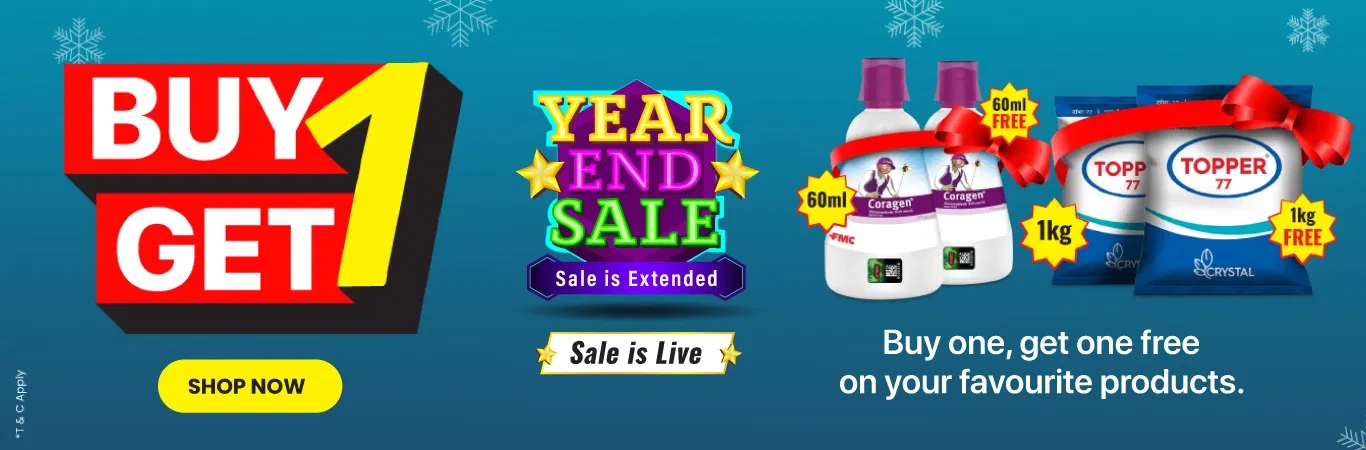 YES'25 Sale I B1G1 Collection Image 2