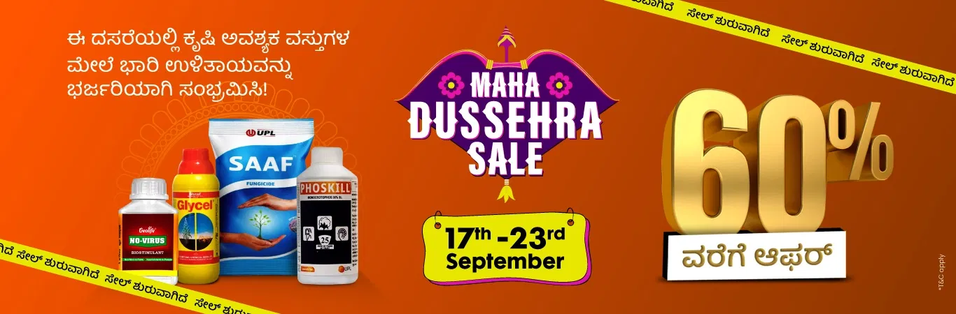 MDS'25 Sale I Sale is Live Image 1