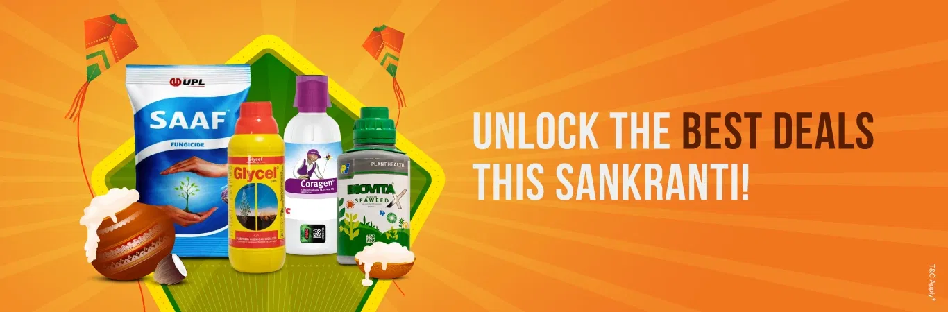 Sankranti Offers Image 1