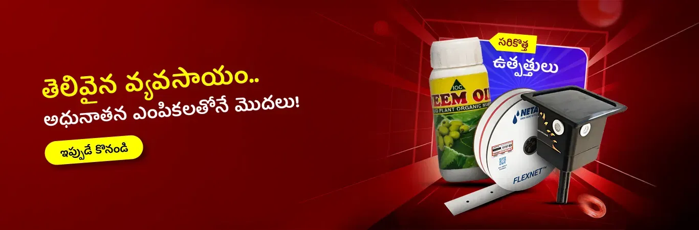 New Arrivals Image 7