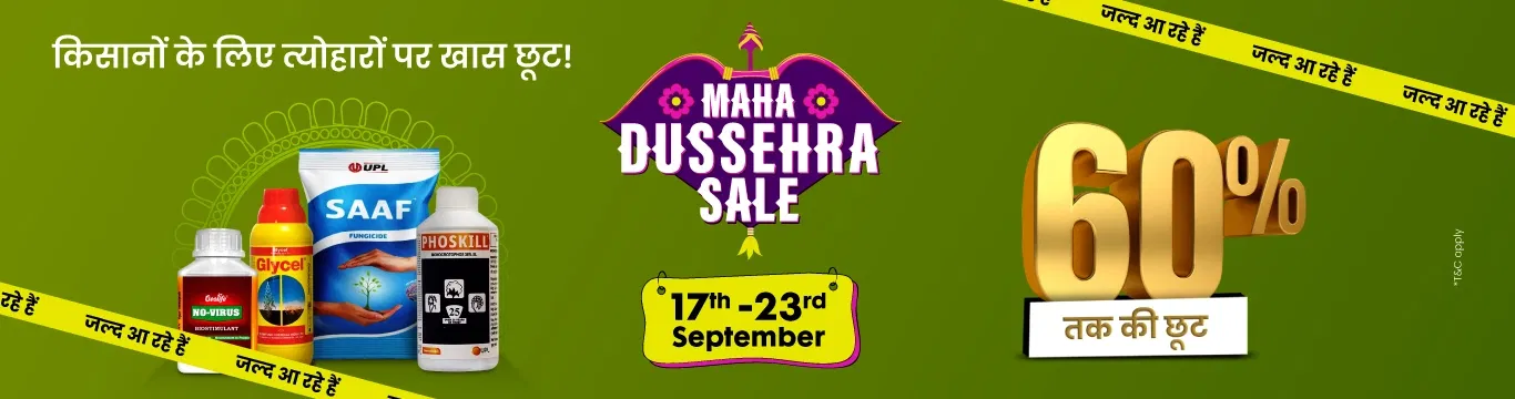 MDS'25 Sale I Hype Image 1