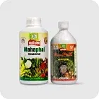 Organic Farming Image