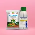 Nutrients Image