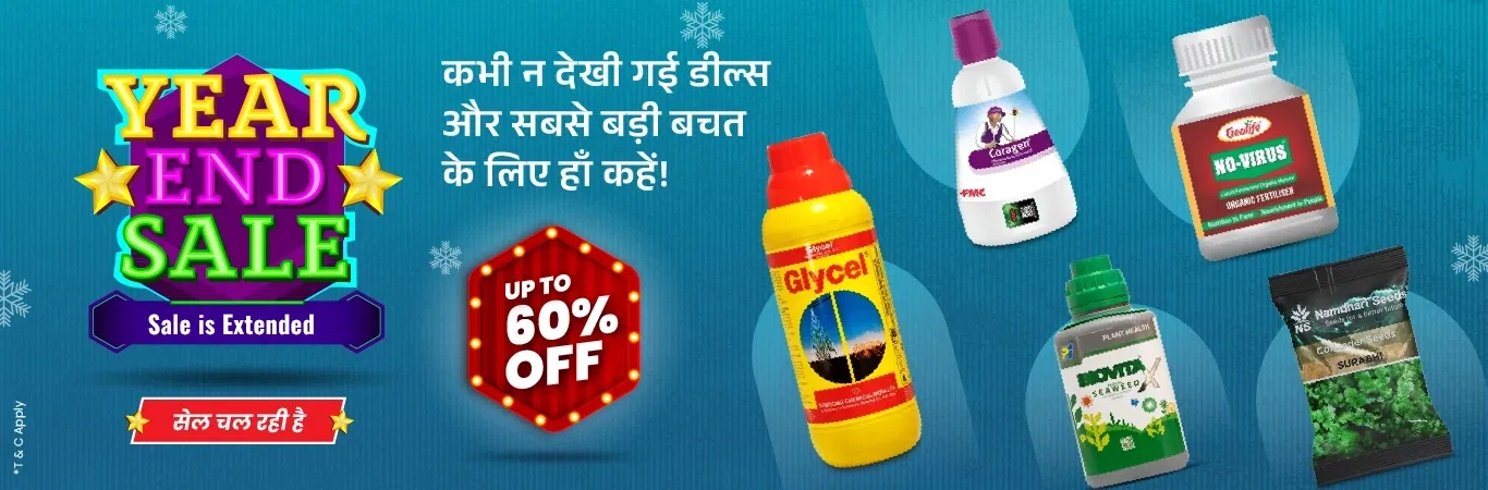 Sale is Extended Image 1