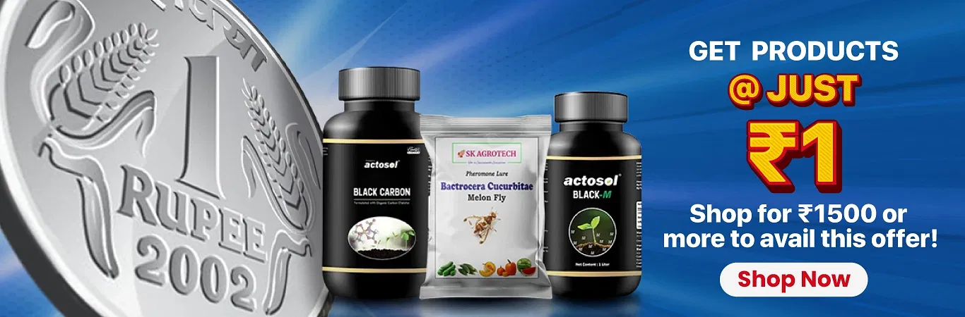 1 Rupee Sale Image 2