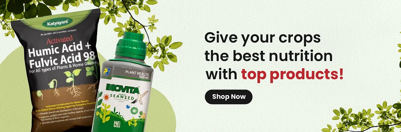 Plant Nutrition Image 2