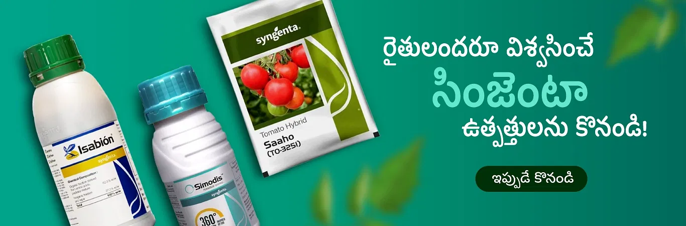 Syngenta Products Image 3