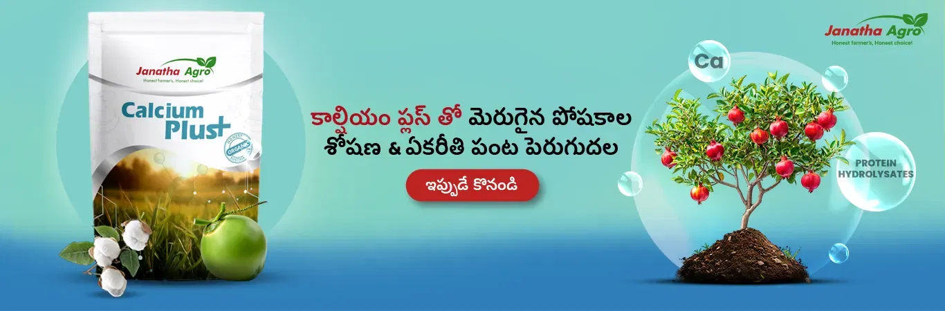 Janatha Calcium Plus Image 3