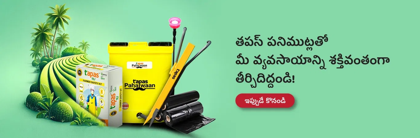 Tapas Implements  Image 6