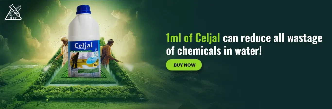 Excel Celjal Image 4