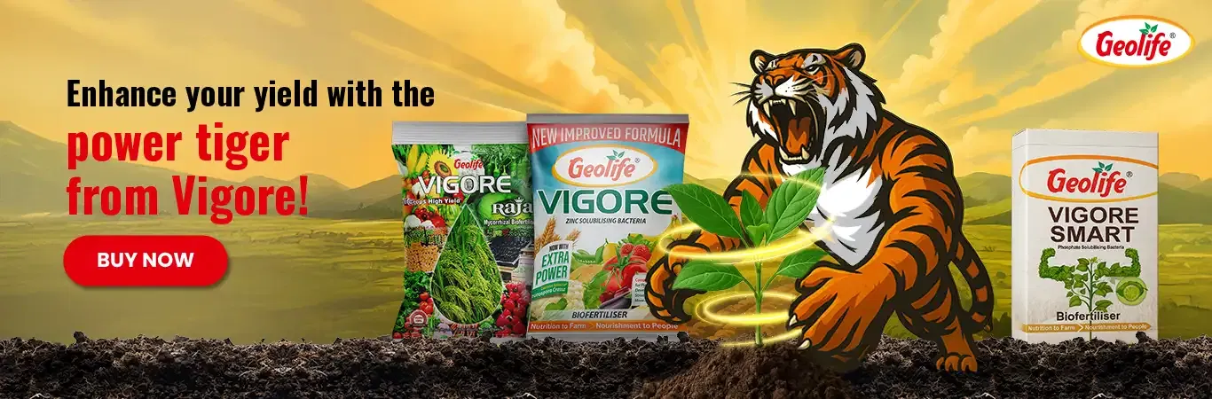 Geolife Bio Fertilizers V3 Image 3
