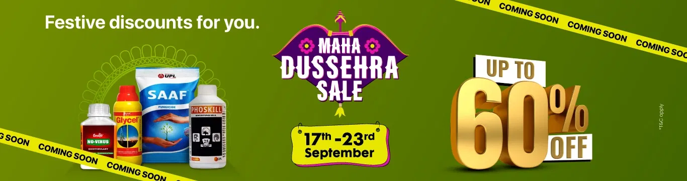 MDS'25 Sale I Hype Image 1