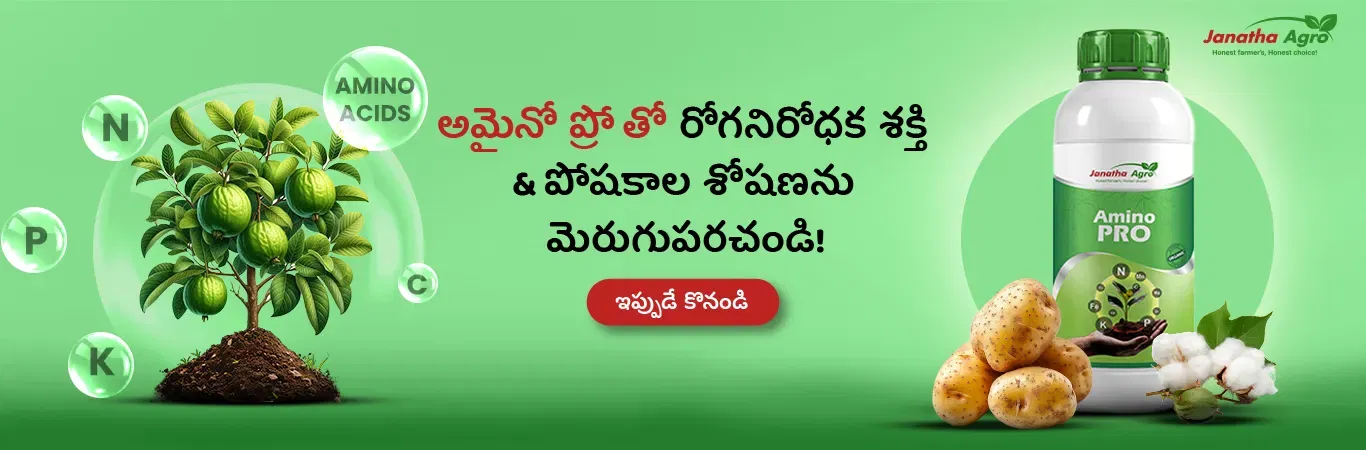 Janatha Amino Pro Image 4