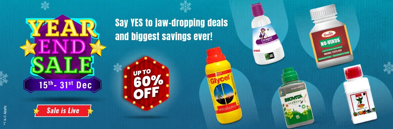 YES'25 Sale I Sale is Live Image 1