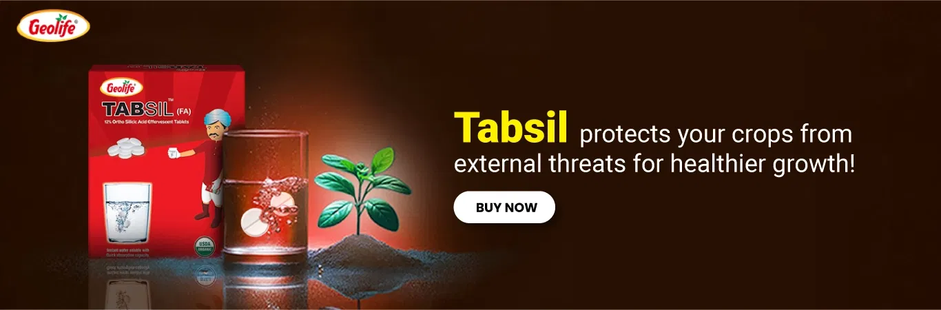 Geolife Tabsil V2 Image 6