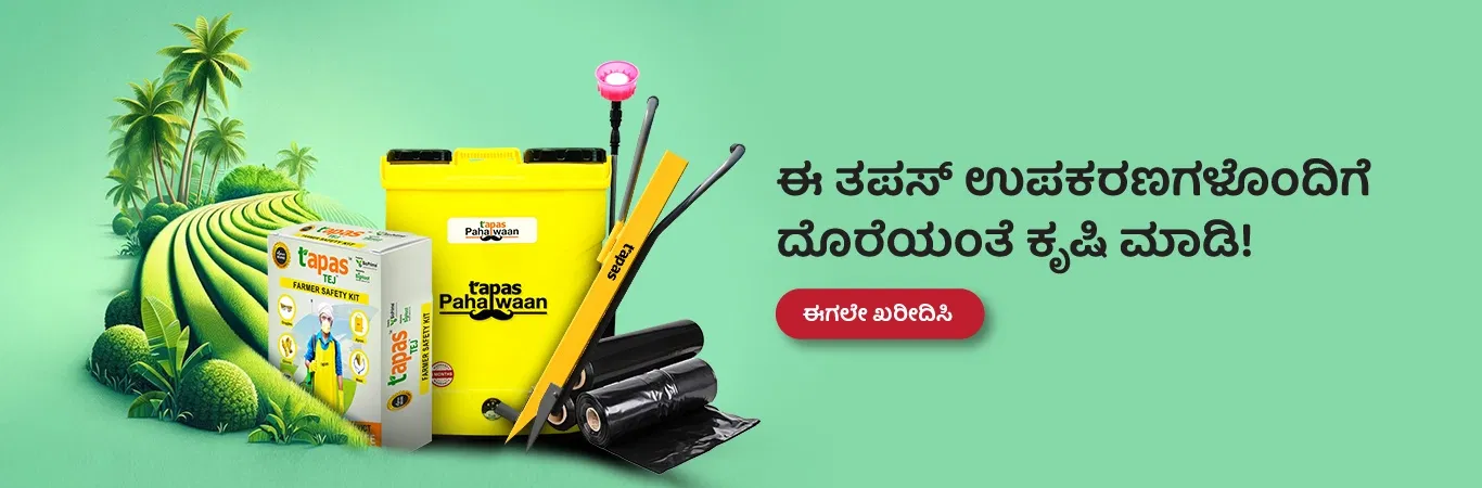 Tapas Implements Image 4