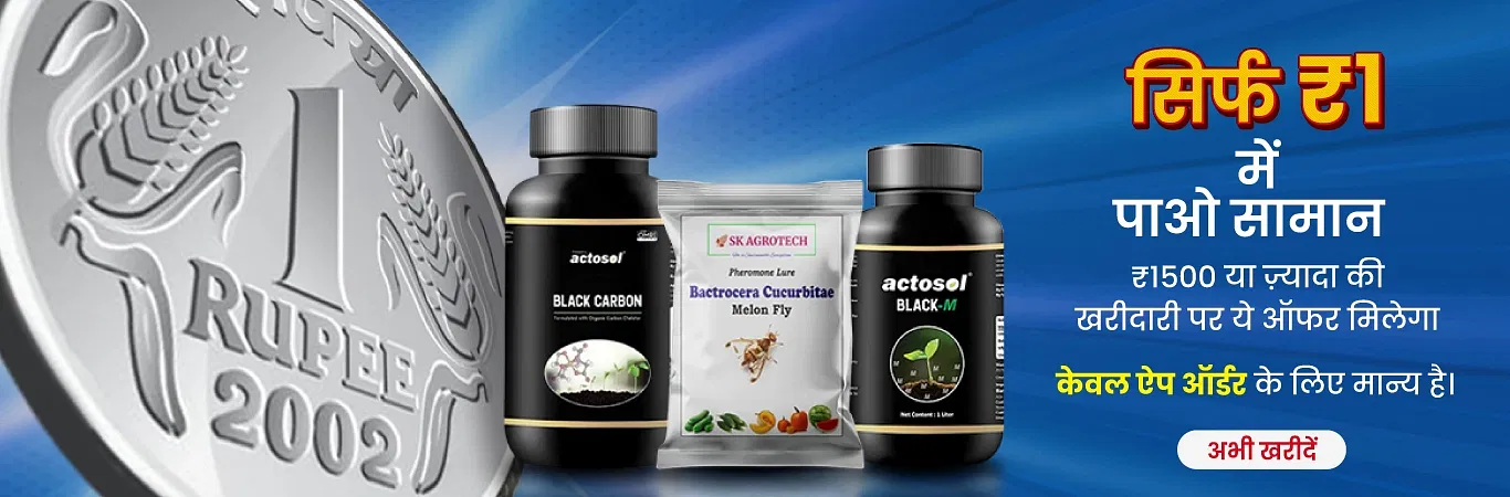 1 Rupee Sale Image 2