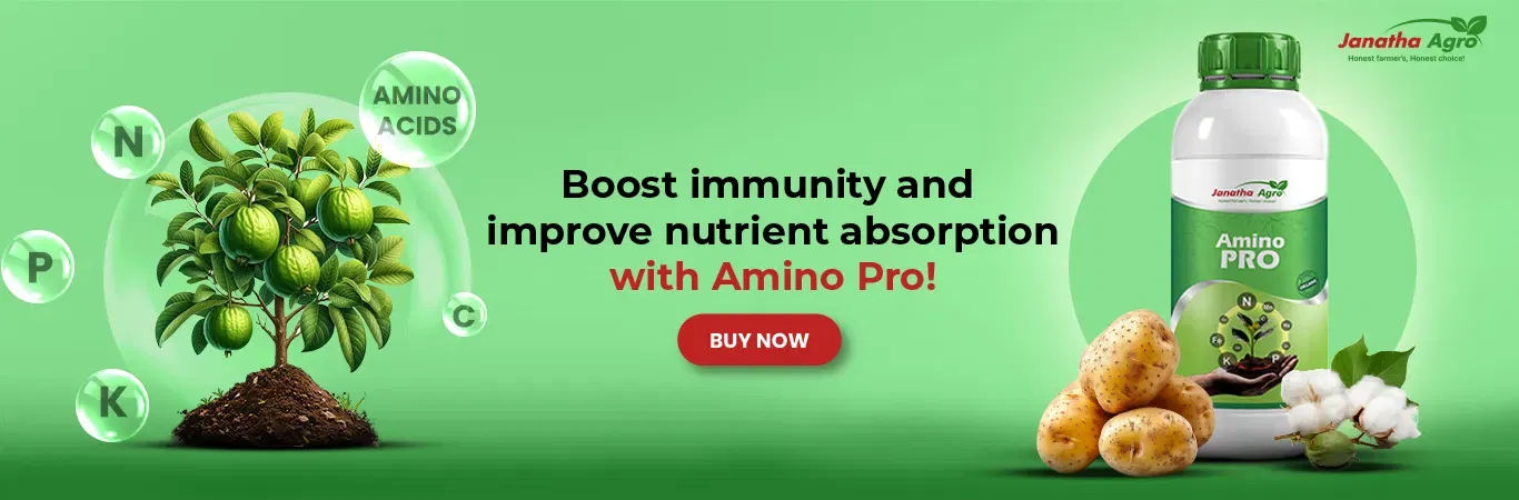 Janatha Amino Pro Image 2