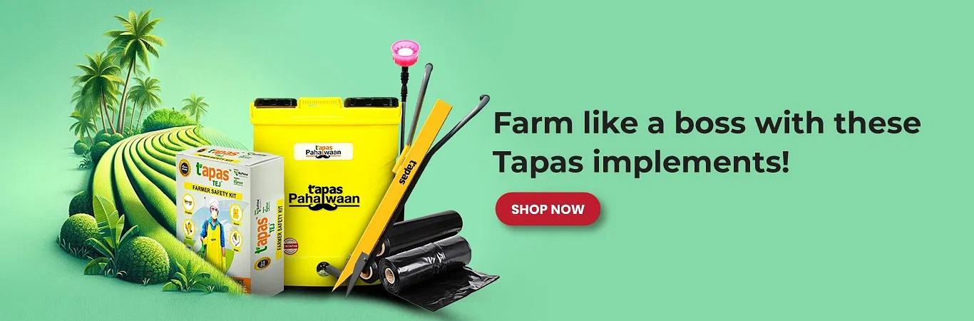 Tapas Implements  Image 4