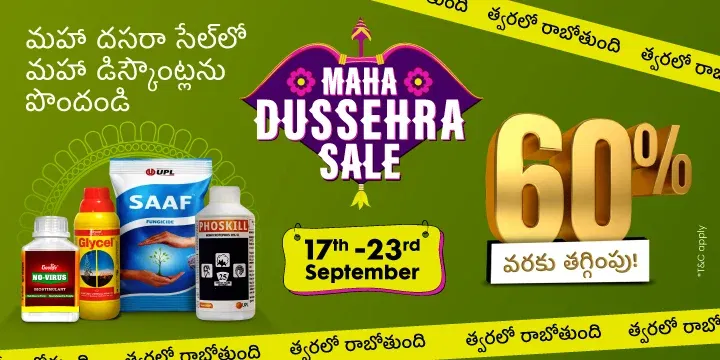 MDS'25 Sale I Hype Image 1