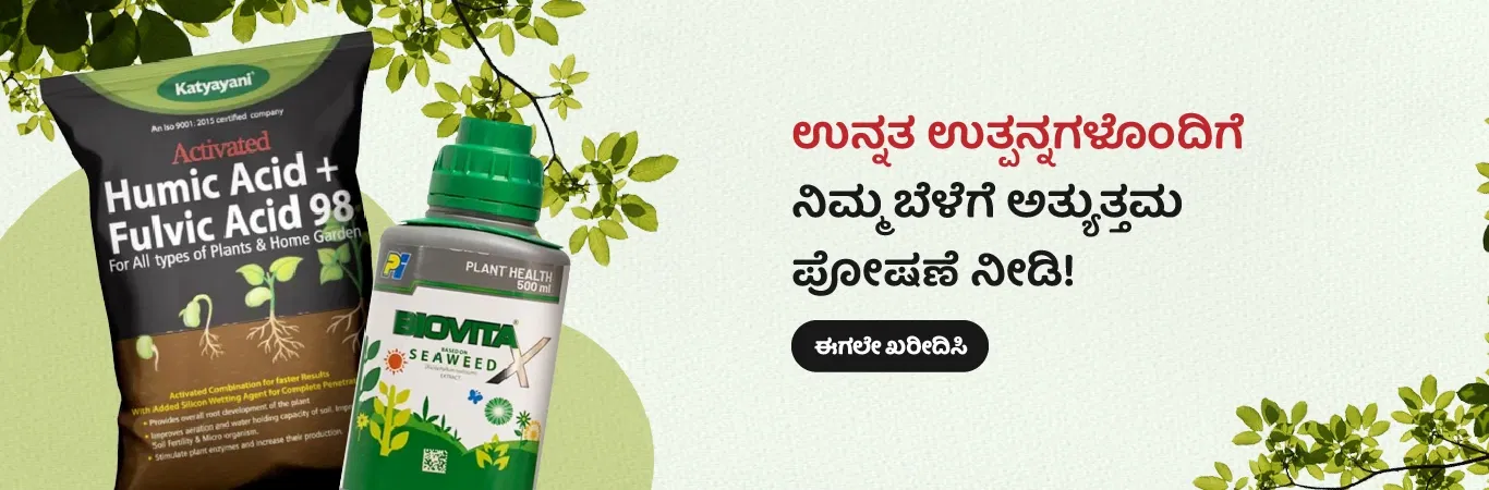 Home Banner 1 Image 5