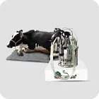 Animal Husbandry Image