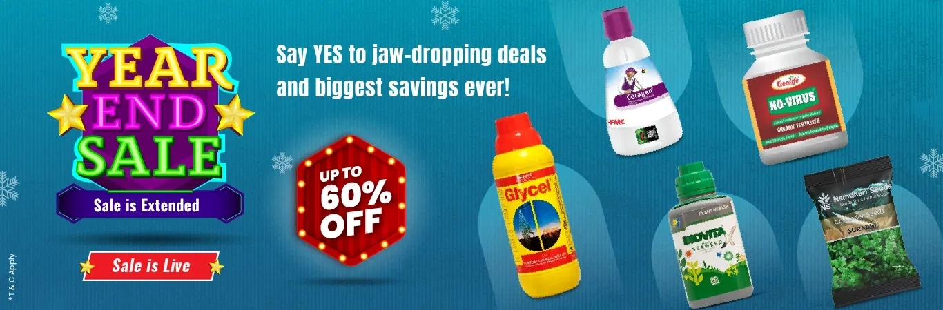 Sale is Extended Image 1