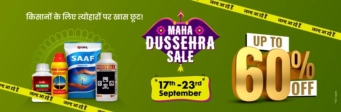 MDS'25 Sale I Hype Image 1