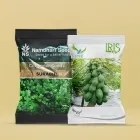 Vegetable & Fruit Seeds Image