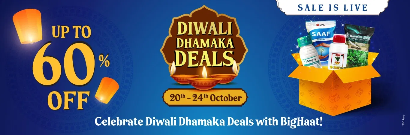 DDD'25 Sale I Sale is Live Image 1