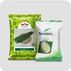 Vegetable & Fruit Seeds Image