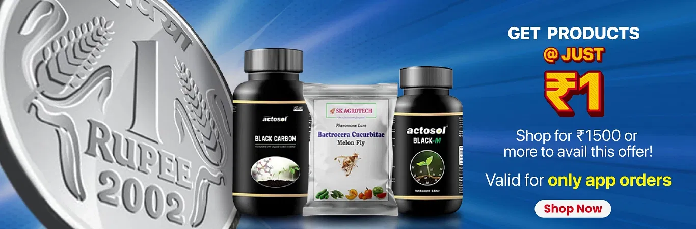 1 Rupee Sale Image 2