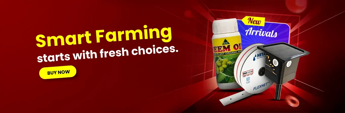 New Arrivals Image 5