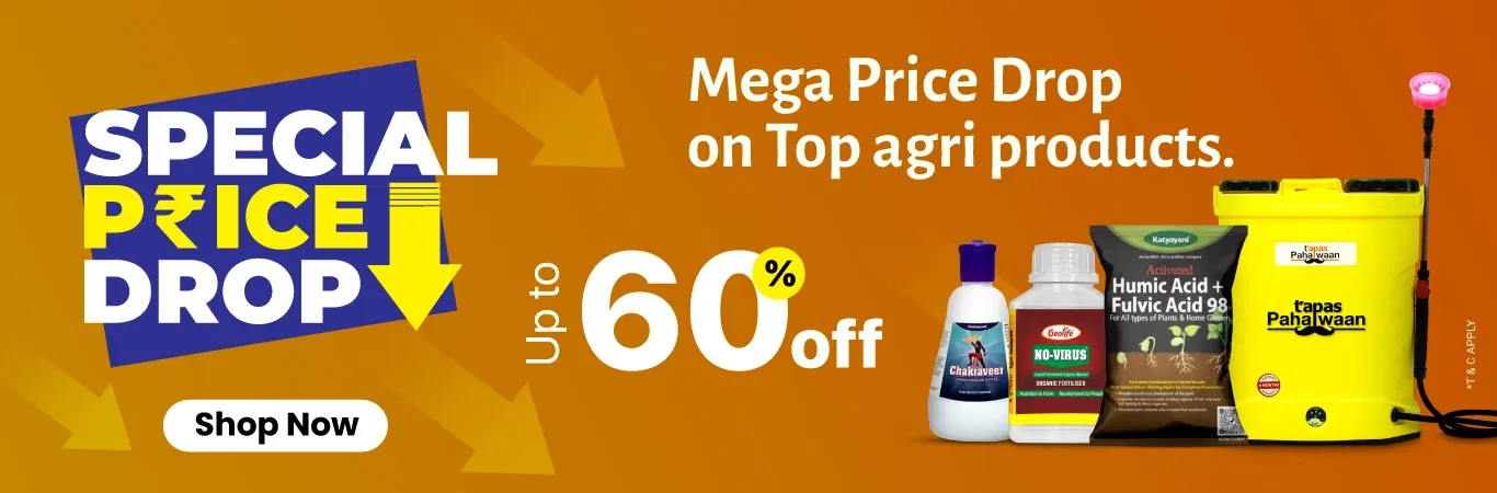 SPD'25 Sale I Generic Image 1