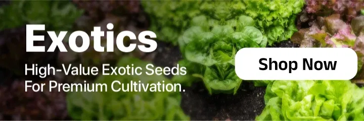 seedsLandingPageSmallBanners