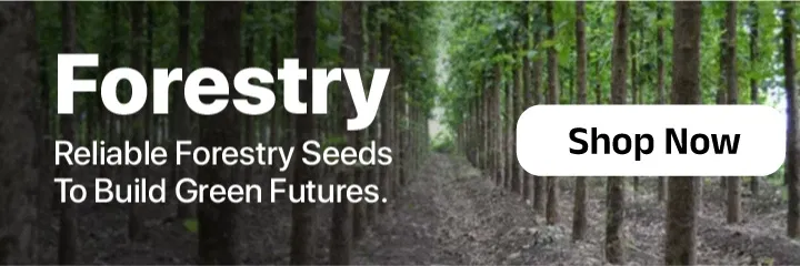 seedsLandingPageSmallBanners