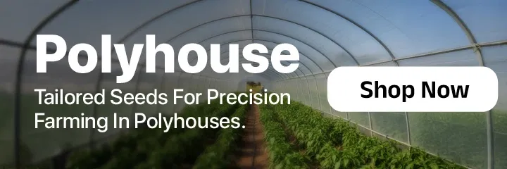 seedsLandingPageSmallBanners