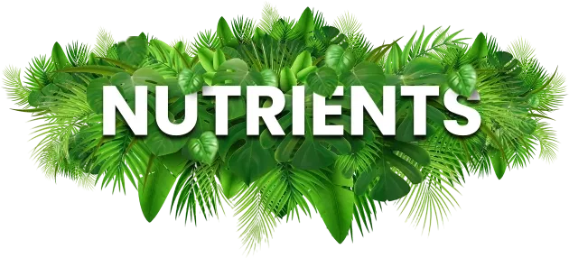 Nutrients