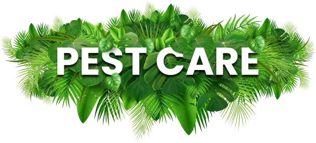 Pest Care