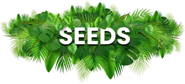 Seeds