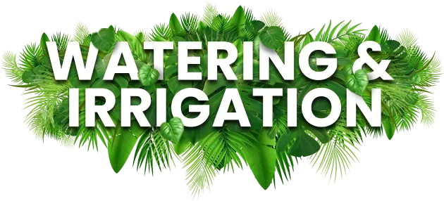 Watering & Irrigation