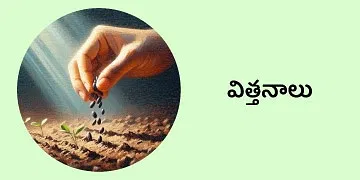 BigHaat | Bank of Baroda - Seeds