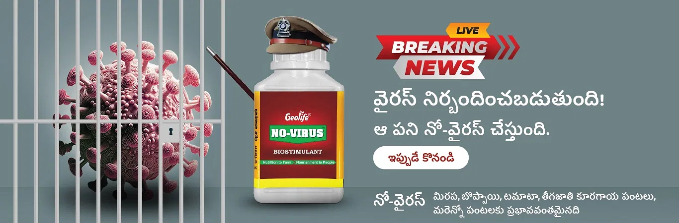 Geolife No Virus V2 Image 3