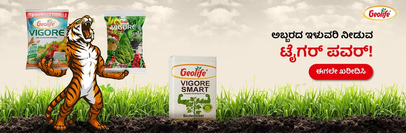 Geolife Bio Fertilizers V2 Image 4