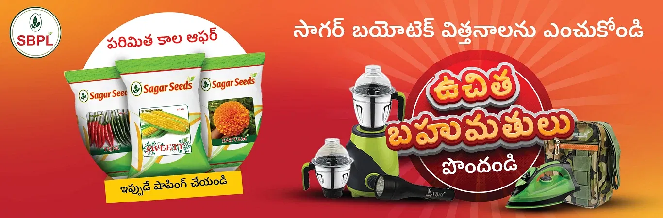 Sagar Seeds Image 1